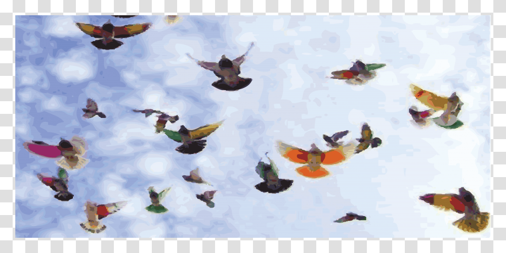 Butterfly, Flock, Animal, Flying, Bird Transparent Png