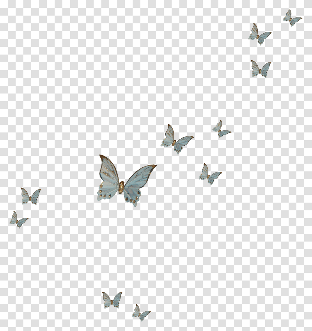 Butterfly Fly Download Clip Art Purple Butterfly, Flying, Bird, Animal, Flock Transparent Png