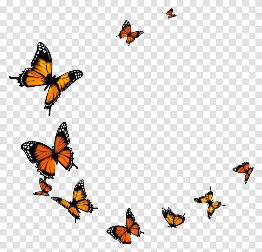 Butterfly Fly Download Flying Butterfly Background, Monarch, Insect, Invertebrate, Animal Transparent Png