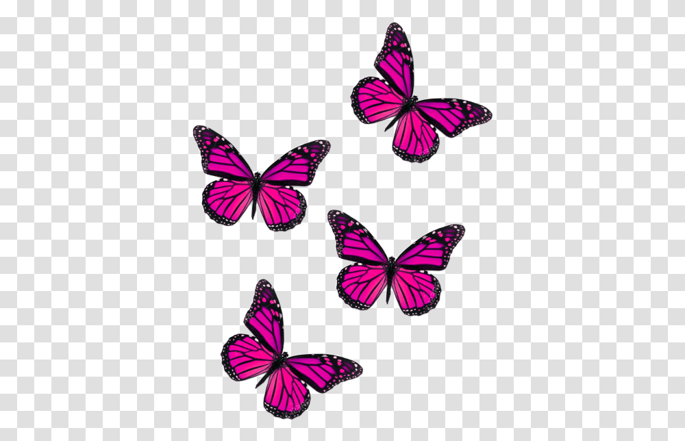 Butterfly Fly Pink Butterflies Pink Butterfly, Insect, Invertebrate, Animal, Purple Transparent Png