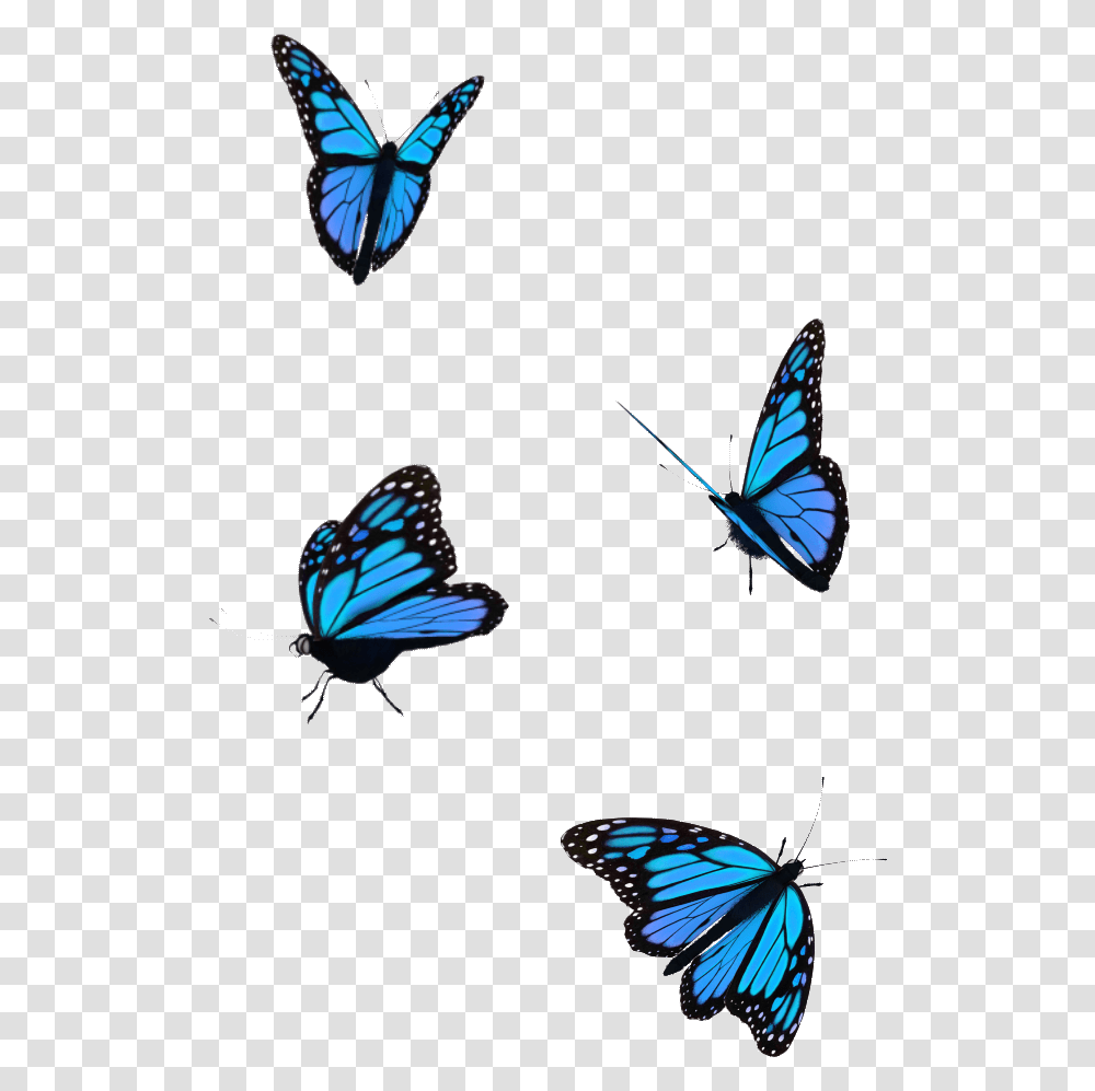 Butterfly Flying Gif, Insect, Invertebrate, Animal, Monarch Transparent Png