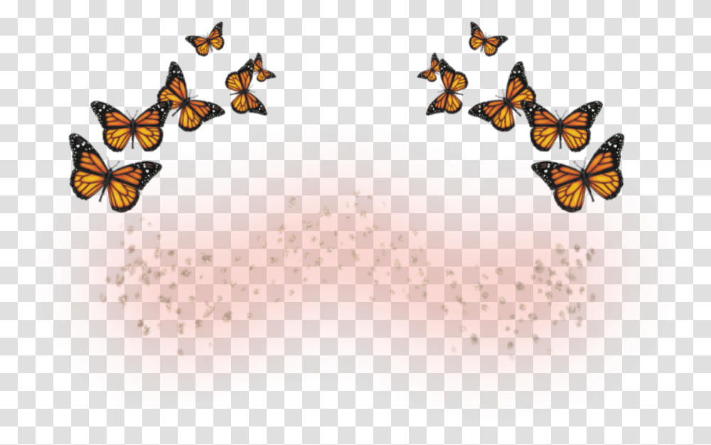 Butterfly Freckles Marjfvck Freetoedit Butterfly Freckles, Birthday Cake, Dessert, Food, Honey Bee Transparent Png