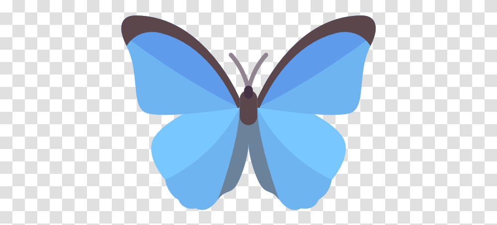 Butterfly Free Animals Icons Blue Butterfly Icon, Ornament, Pattern, Fractal, Balloon Transparent Png