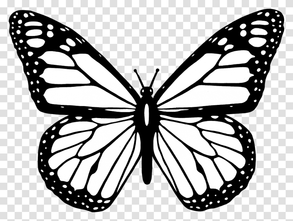 Butterfly Free Clipart Clip Art Images, Stencil, Insect, Invertebrate, Animal Transparent Png