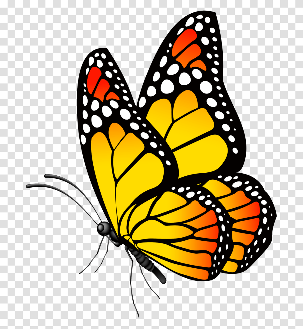 Butterfly Free Clipart Of Butterflies Winging, Insect, Invertebrate, Animal, Monarch Transparent Png