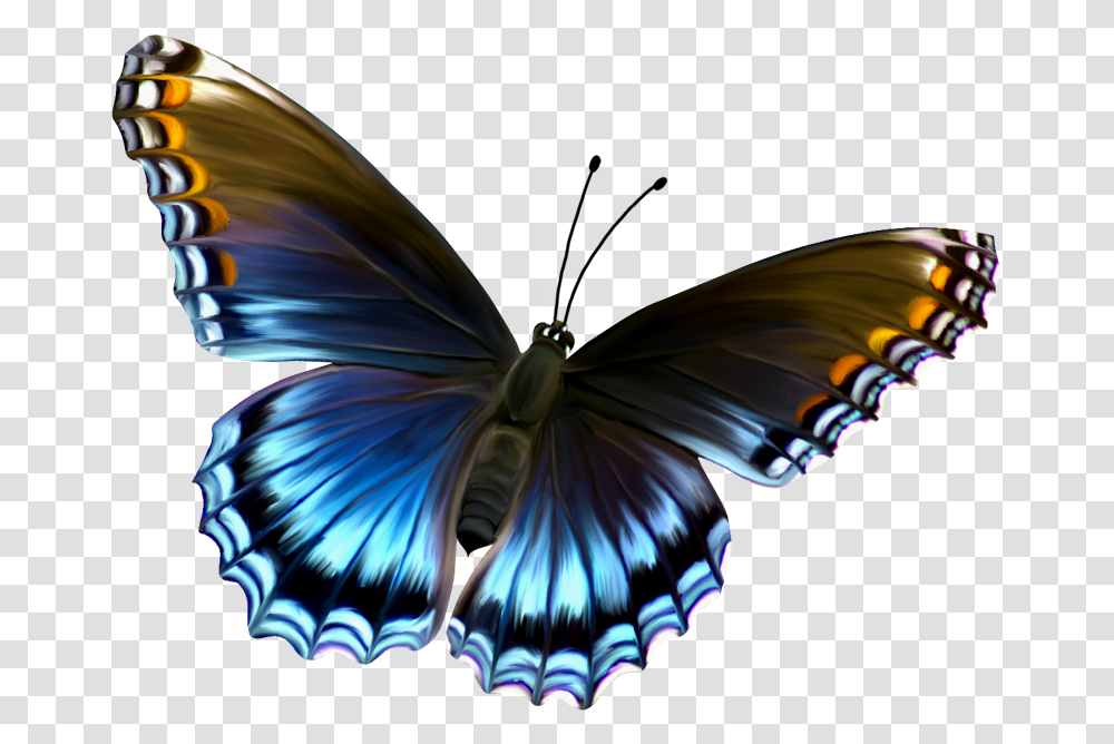 Butterfly Free Download, Ornament, Pattern, Bird, Animal Transparent Png