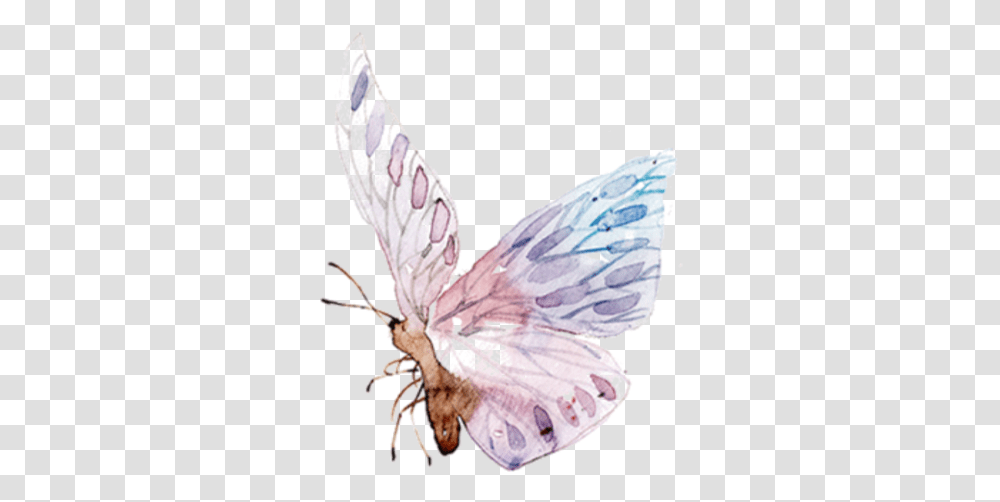 Butterfly Freetoedit Ftestickers Wings Watercolor Pastel Butterfly, Plant, Flower, Blossom, Insect Transparent Png