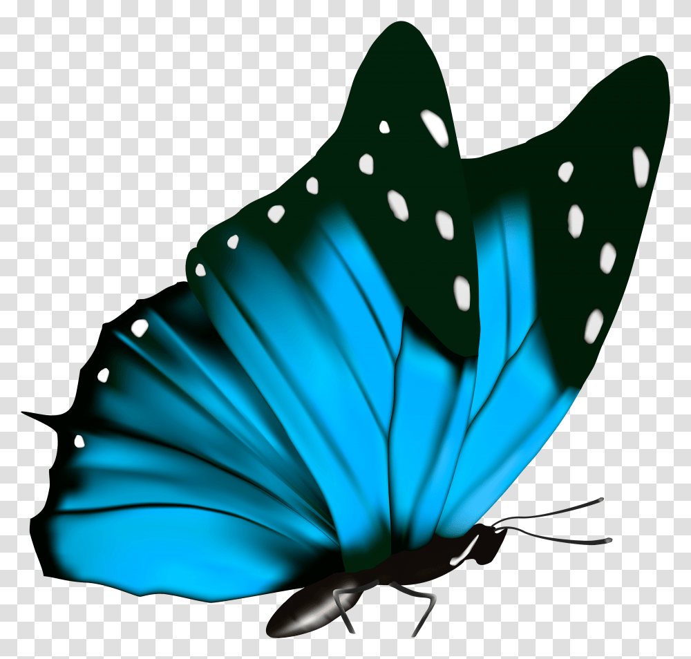 Butterfly Full Hd Transparent Png