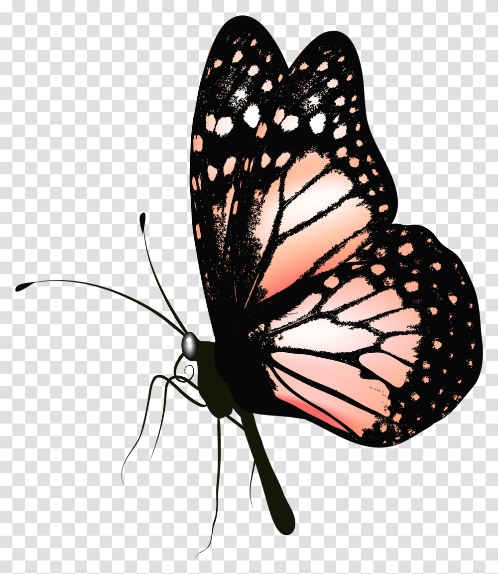 Butterfly Gif Butterfly Gif, Insect, Invertebrate, Animal, Monarch Transparent Png