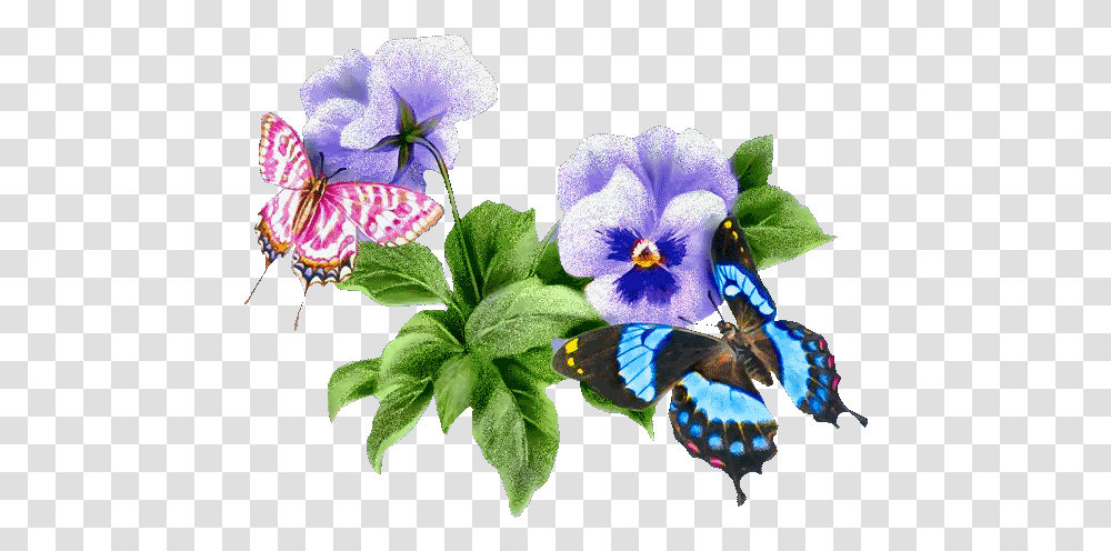 Butterfly Gifs Animated Nature Gif, Plant, Geranium, Flower, Blossom Transparent Png