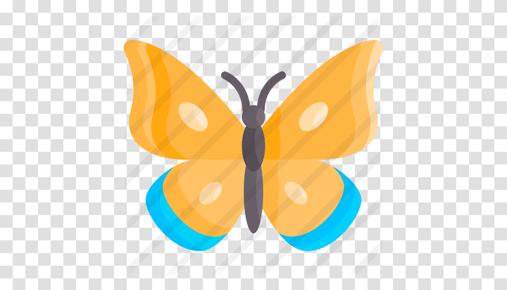 Butterfly Girly, Insect, Invertebrate, Animal, Moth Transparent Png