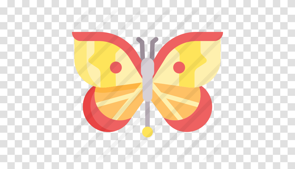 Butterfly Girly, Pattern, Ornament, Balloon, Graphics Transparent Png