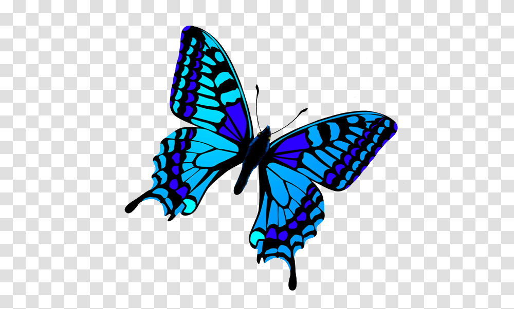 Butterfly, Insect, Invertebrate Transparent Png
