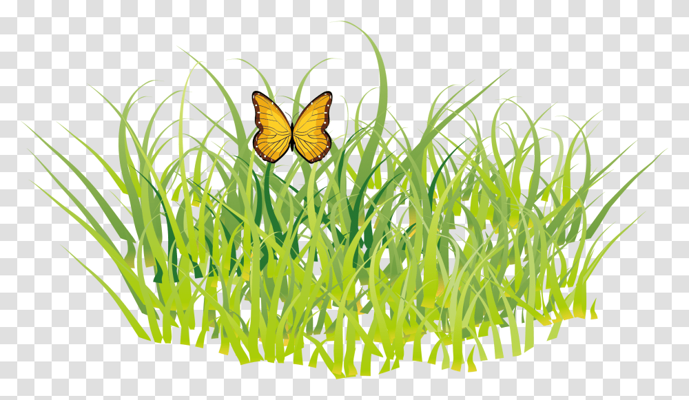 Butterfly Grass Gis Golf Free Clipart, Plant, Insect, Invertebrate, Animal Transparent Png
