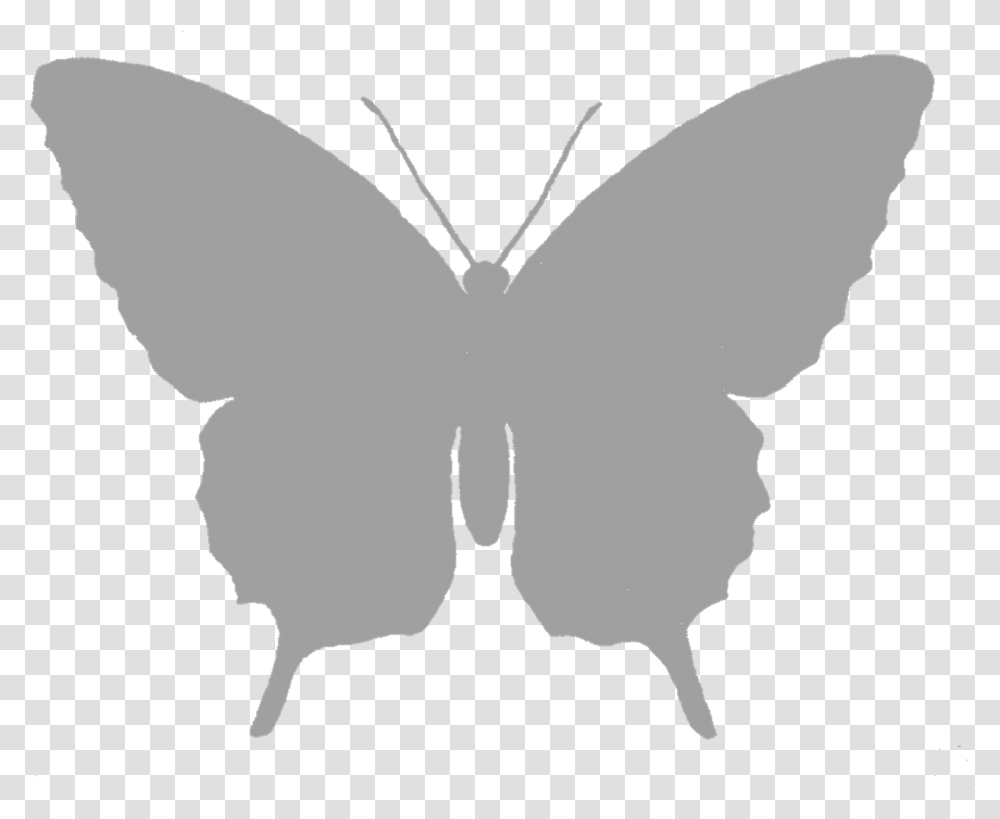 Butterfly Grayscale Image Silhouette Download, Animal, Stencil, Insect, Invertebrate Transparent Png
