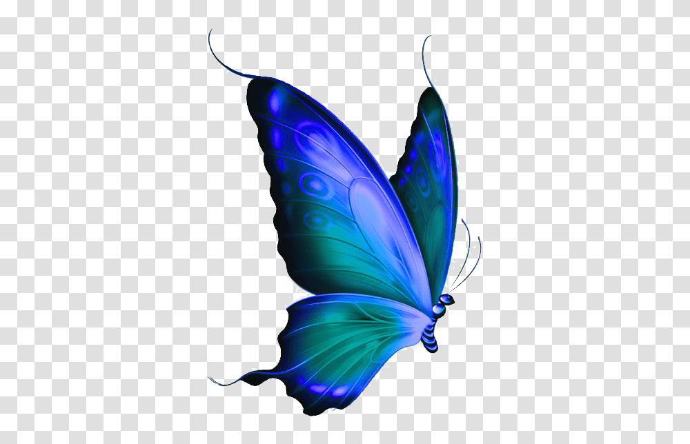 Butterfly Group Image Free And Clipart Download, Insect, Invertebrate, Animal Transparent Png