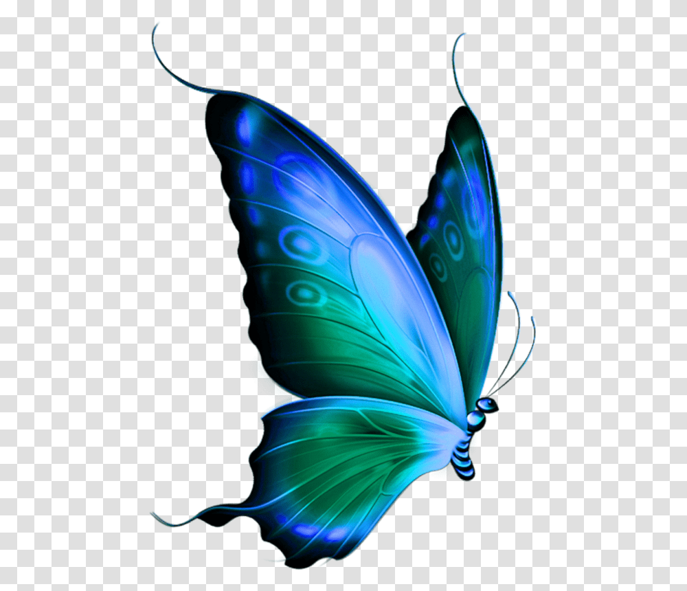 Butterfly Hd, Ornament, Pattern Transparent Png