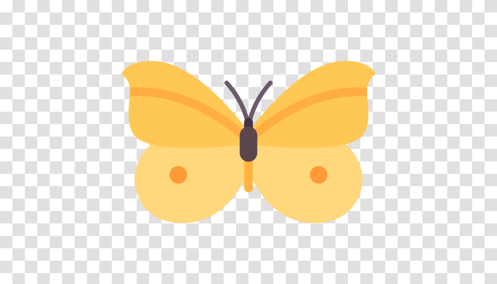 Butterfly Icon, Pattern, Lamp, Animal, Invertebrate Transparent Png