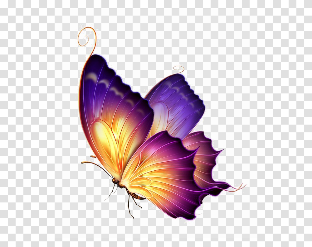 Butterfly Image Arts, Floral Design, Pattern, Lamp Transparent Png