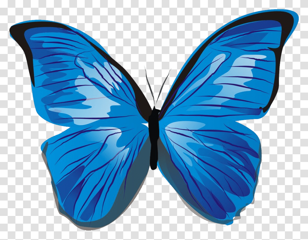 Butterfly Image Free Picture Download, Insect, Invertebrate, Animal, Pattern Transparent Png