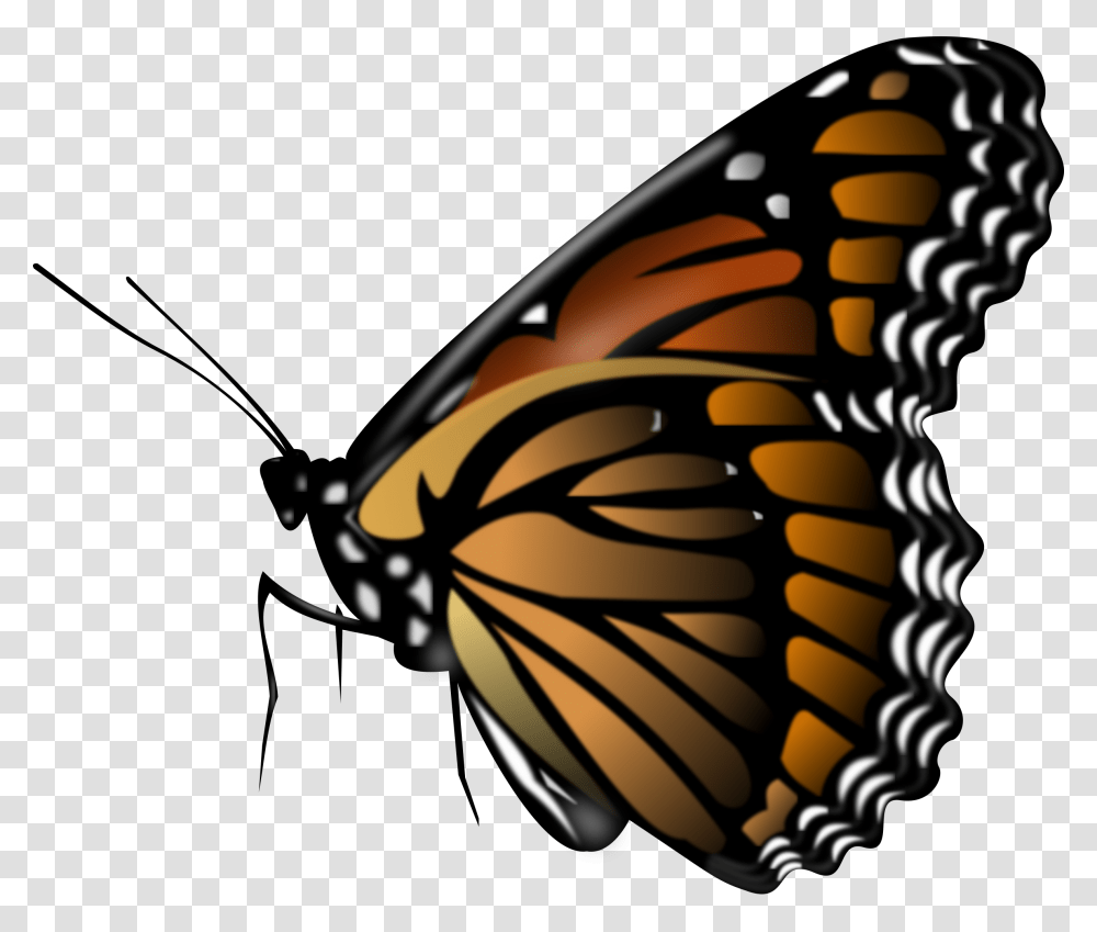 Butterfly Image Free Picture Download, Monarch, Insect, Invertebrate, Animal Transparent Png