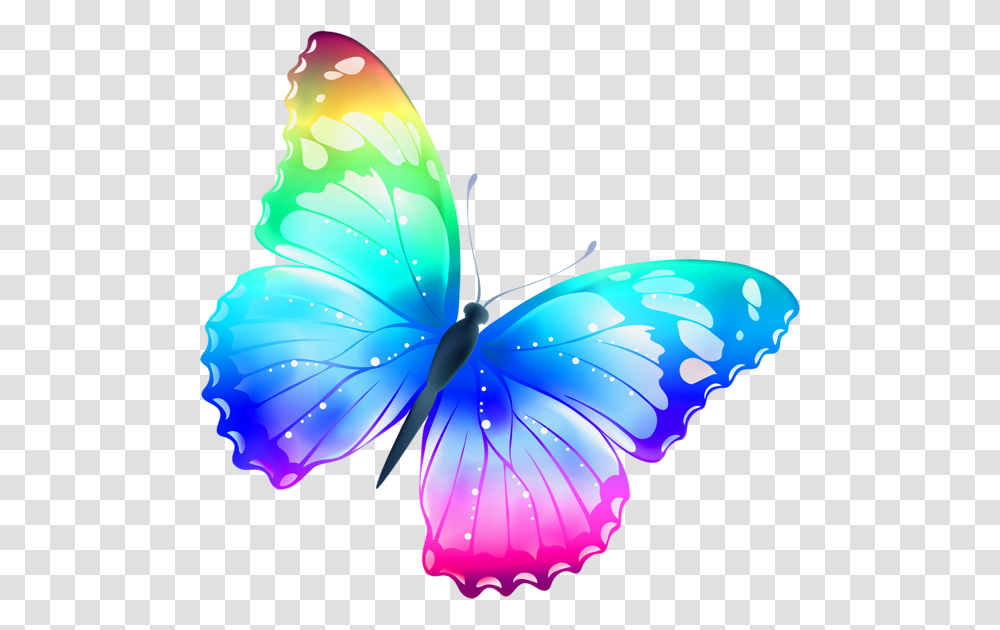 Butterfly Image Free Picture Download, Ornament, Pattern Transparent Png