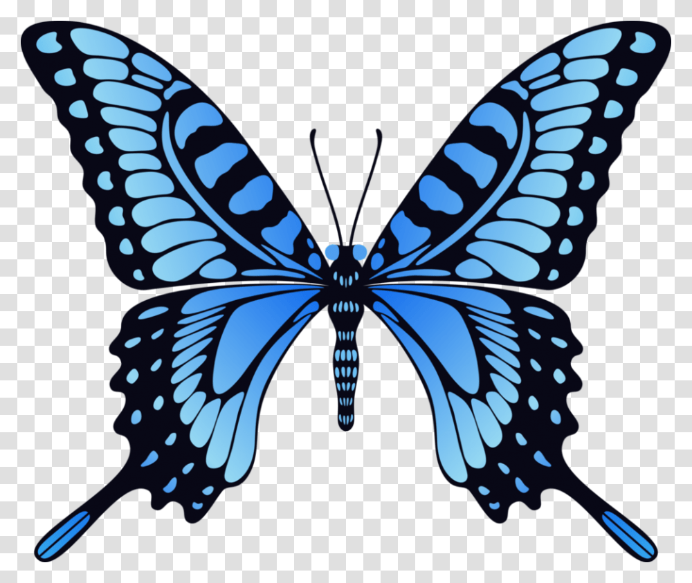 Butterfly Image Free Picture Download, Pattern, Insect Transparent Png