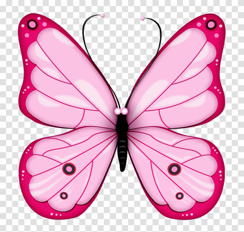 Butterfly Image Free Picture Download, Petal, Flower, Plant, Blossom Transparent Png