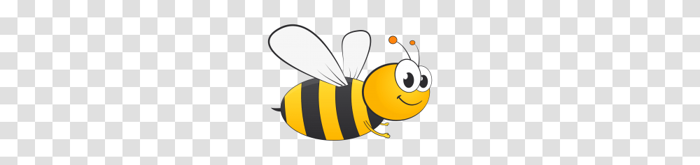 Butterfly Image, Honey Bee, Insect, Invertebrate, Animal Transparent Png