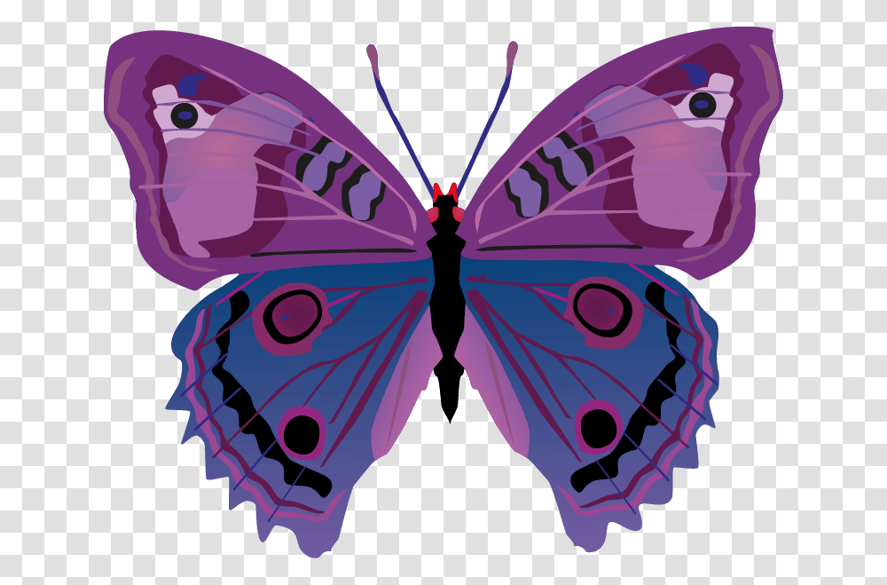Butterfly Images Cartoon Butterflies, Ornament, Pattern, Fractal Transparent Png