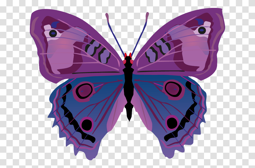 Butterfly Images Download Vector Cartoon Butterflies, Pattern, Ornament, Animal, Invertebrate Transparent Png