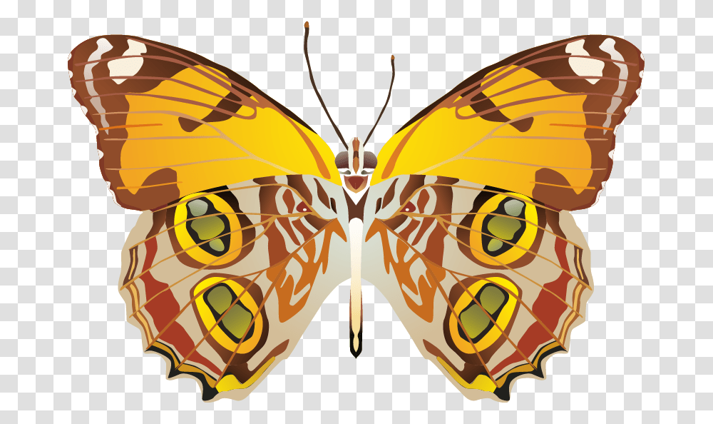 Butterfly Images Portable Network Graphics, Insect, Invertebrate, Animal, Moth Transparent Png