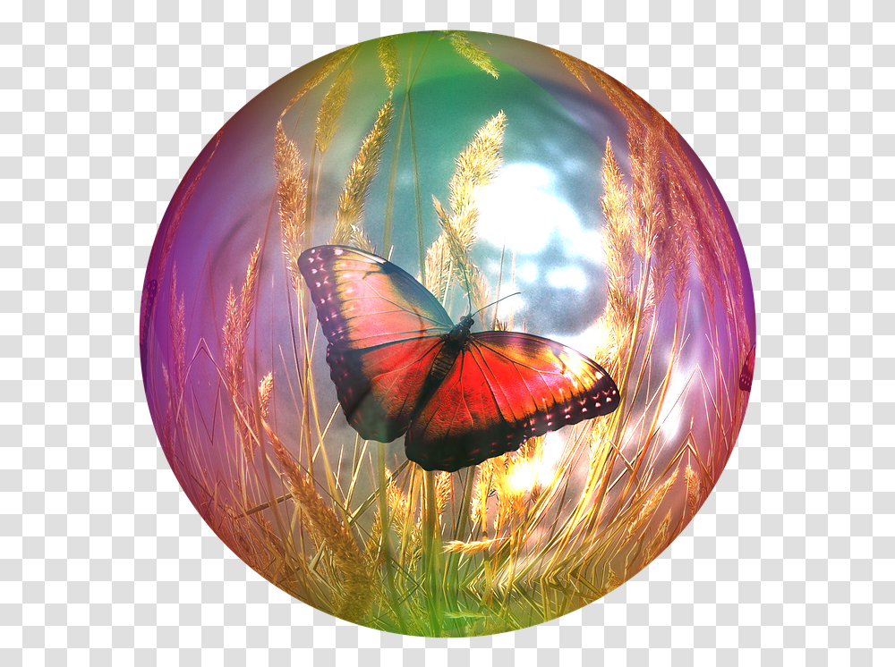 Butterfly In A Bubble, Sphere, Ornament, Pattern, Fractal Transparent Png