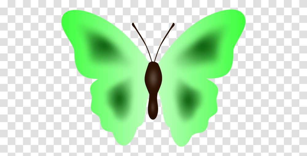 Butterfly In Green Color Butterfly, Animal, Insect, Invertebrate, Moth Transparent Png