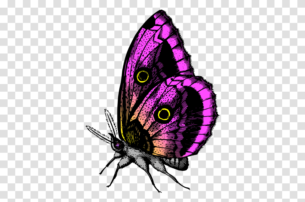 Butterfly In Purple Colors You Give Me Butterflies, Animal, Bird, Invertebrate Transparent Png