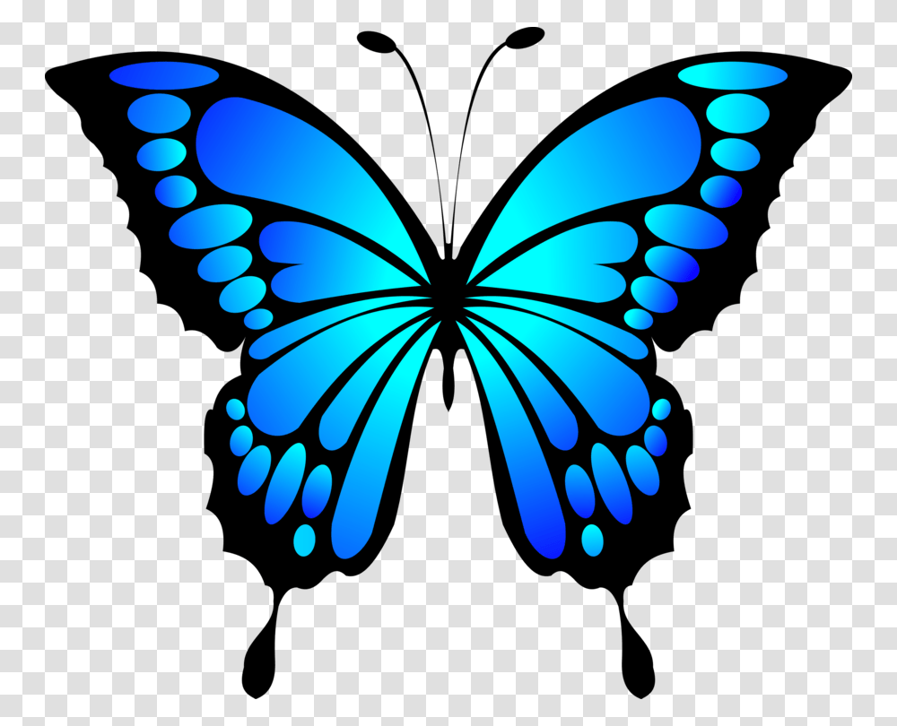 Butterfly Insect Blue Morpho, Pattern, Ornament Transparent Png