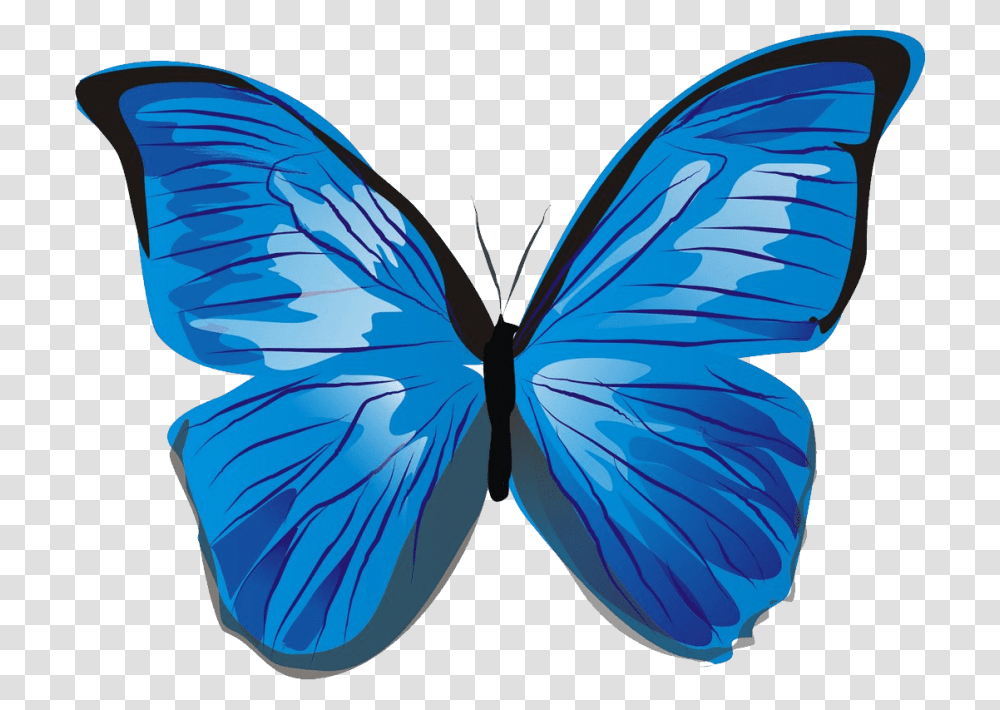 Butterfly, Insect, Invertebrate, Animal, Bird Transparent Png