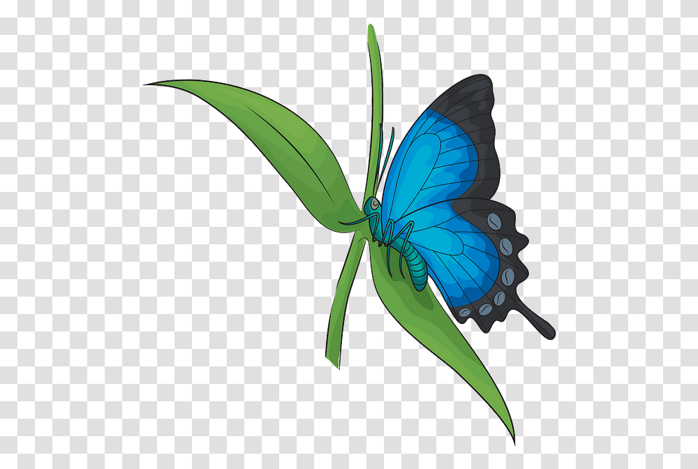 Butterfly, Insect, Invertebrate, Animal, Bow Transparent Png
