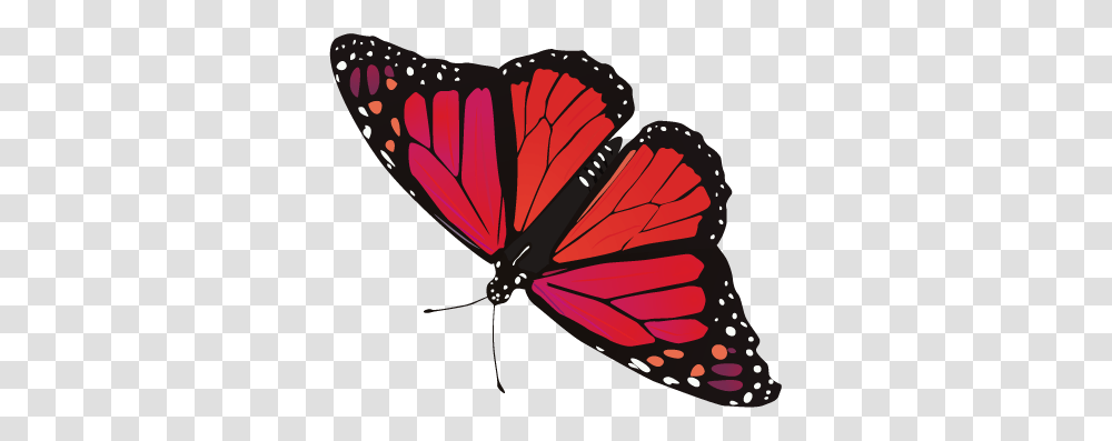 Butterfly, Insect, Invertebrate, Animal, Monarch Transparent Png