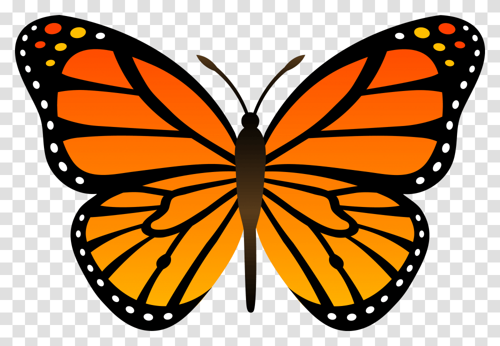 Butterfly, Insect, Invertebrate, Animal, Monarch Transparent Png