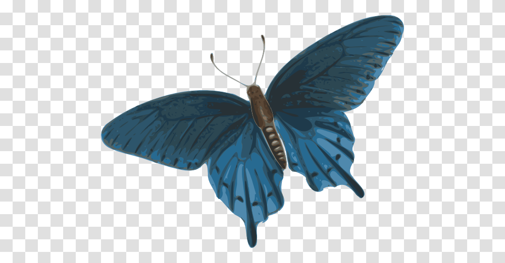 Butterfly, Insect, Invertebrate, Animal, Moth Transparent Png