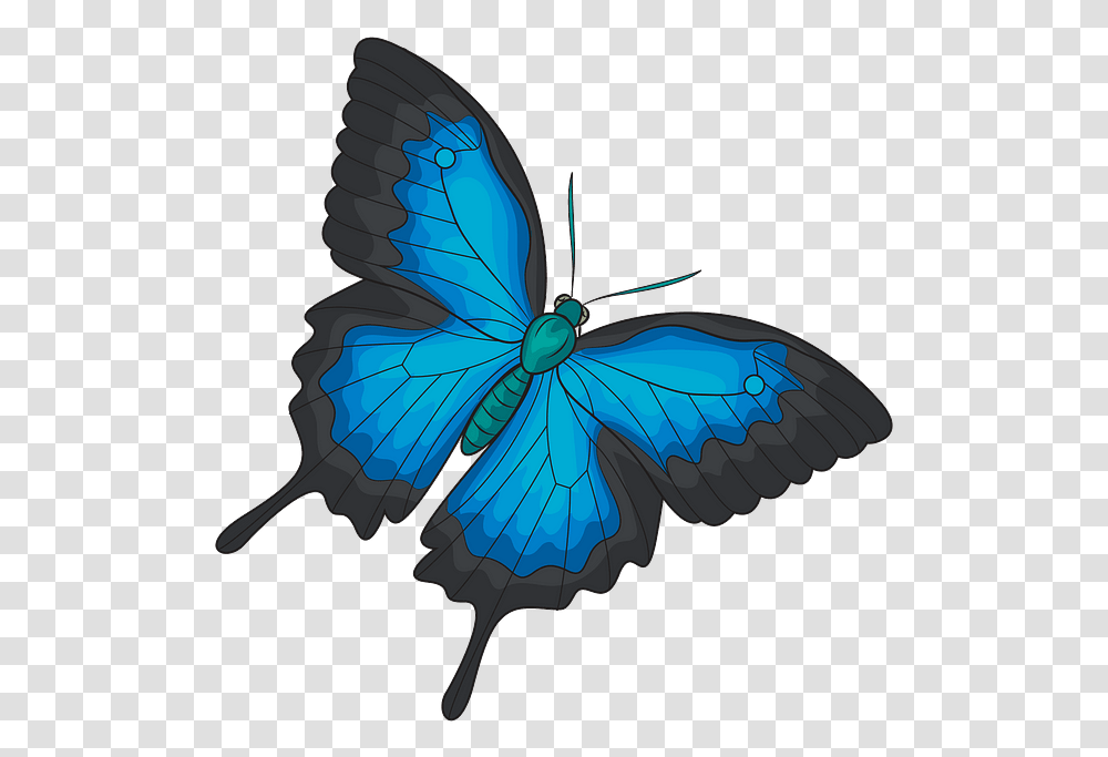 Butterfly, Insect, Invertebrate, Animal, Pattern Transparent Png