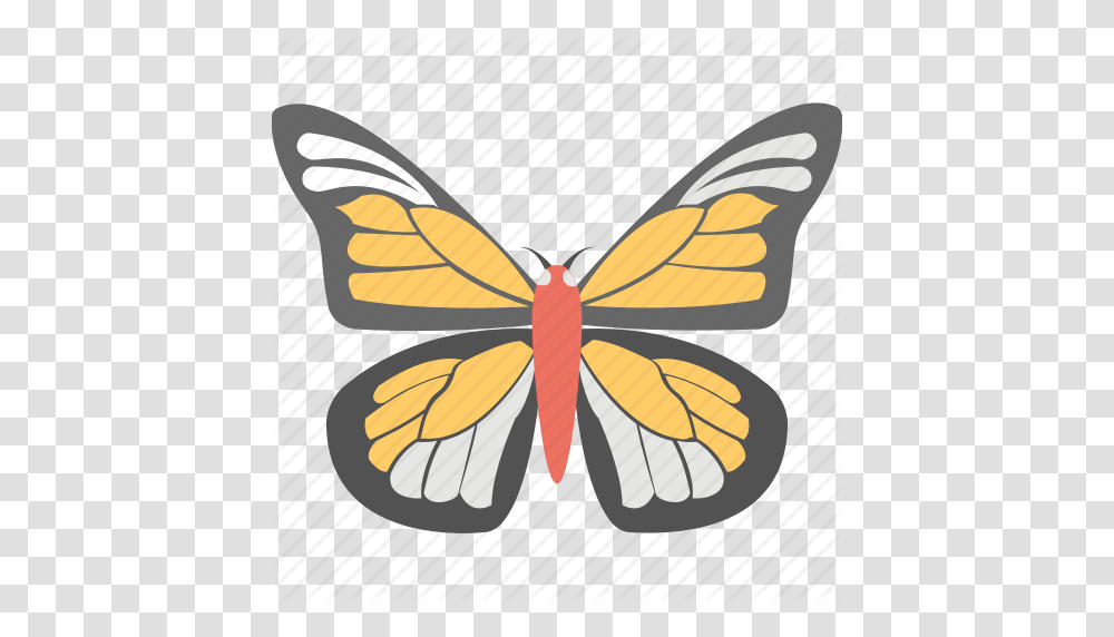 Butterfly Insect Monarch Butterfly Spring Sign Summer Icon, Invertebrate, Animal, Pattern, Ornament Transparent Png