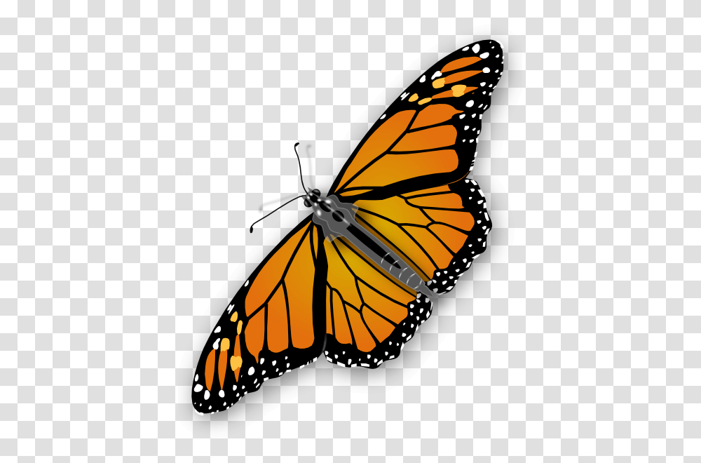 Butterfly, Insect, Monarch, Invertebrate, Animal Transparent Png