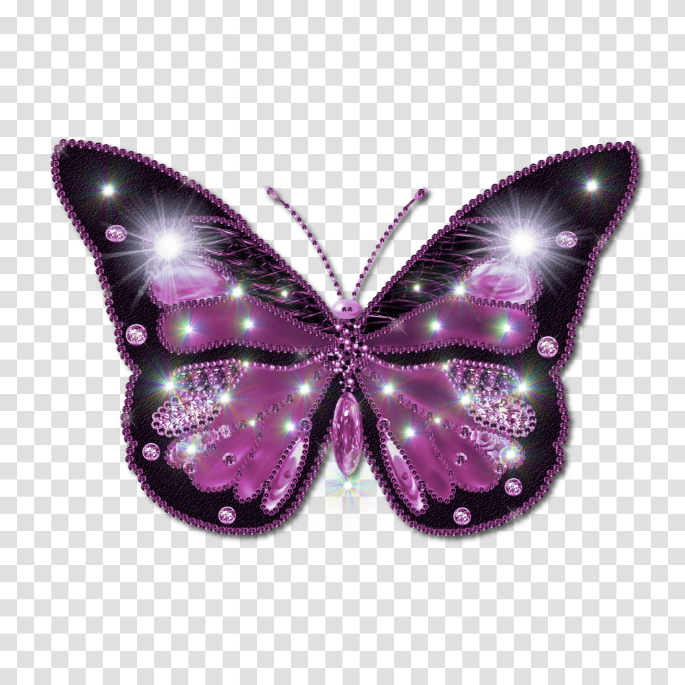 Butterfly, Insect, Ornament, Pattern, Fractal Transparent Png