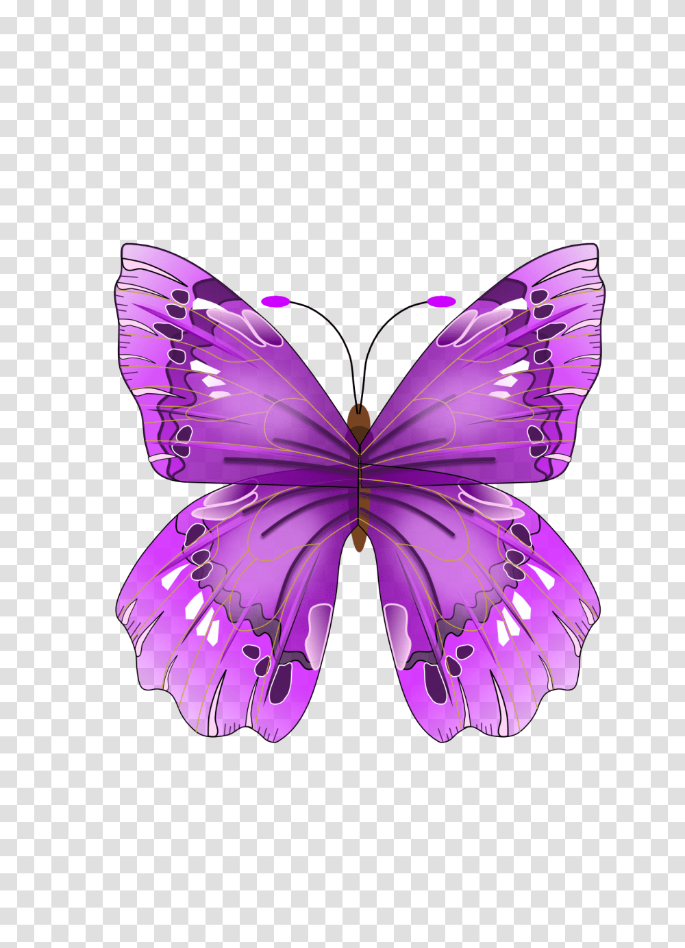 Butterfly, Insect, Purple, Ornament, Light Transparent Png