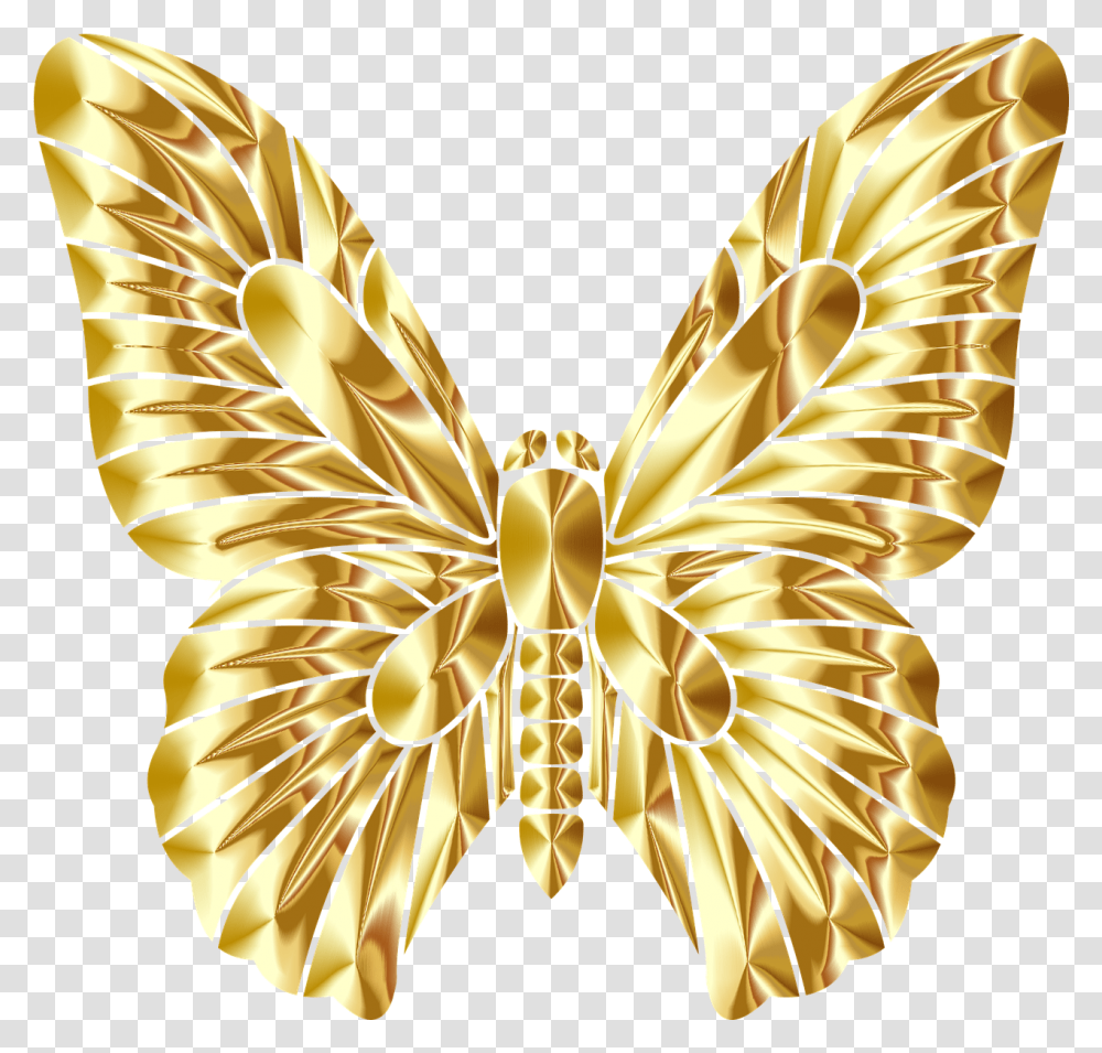 Butterfly Insect Wings Des Ailes De Papillon, Pattern, Ornament, Invertebrate, Animal Transparent Png