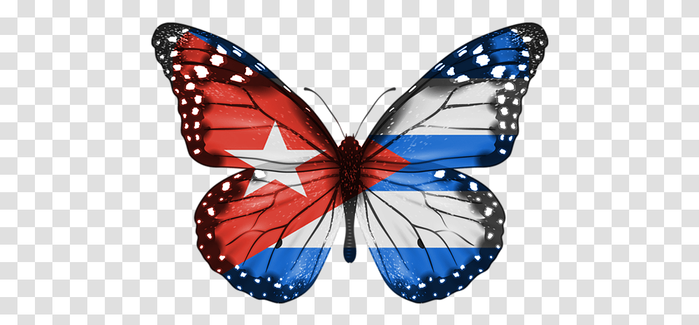 Butterfly Isolated, Ornament, Pattern Transparent Png