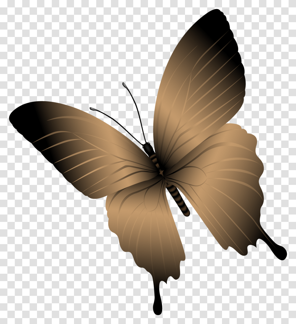Butterfly, Leaf, Plant, Lamp, Flare Transparent Png