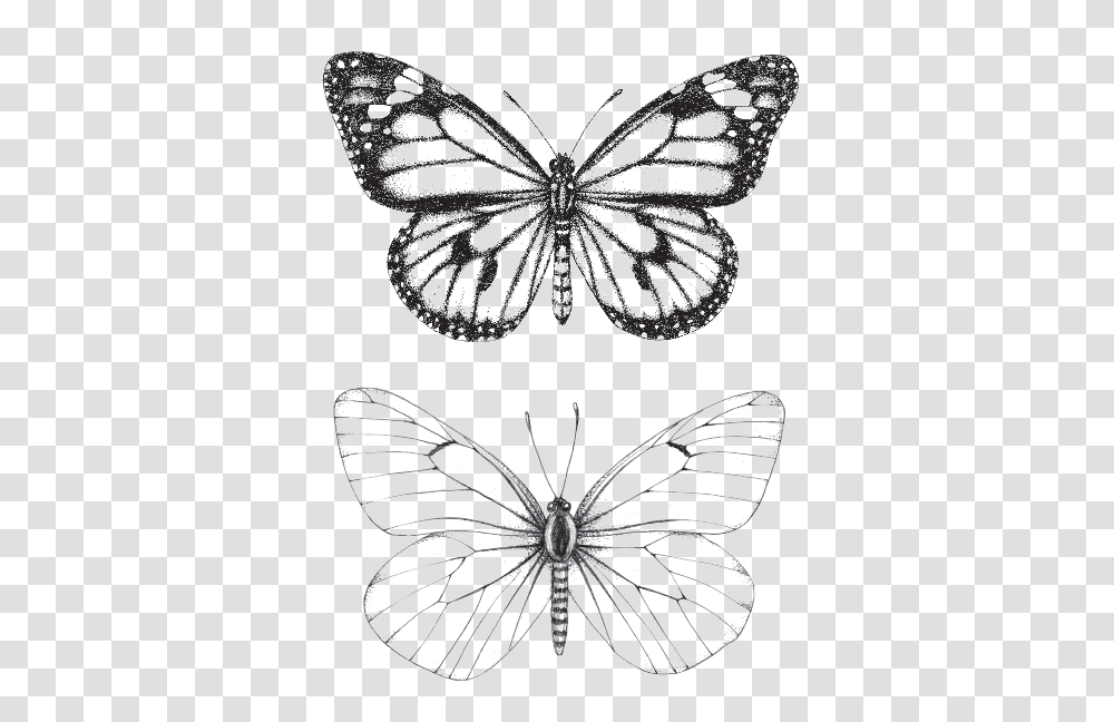 Butterfly Love Borboletas, Pattern, Lace, Chandelier, Lamp Transparent Png
